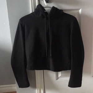 🪄2/$40🪄 Aritzia Cropped Hoodie
